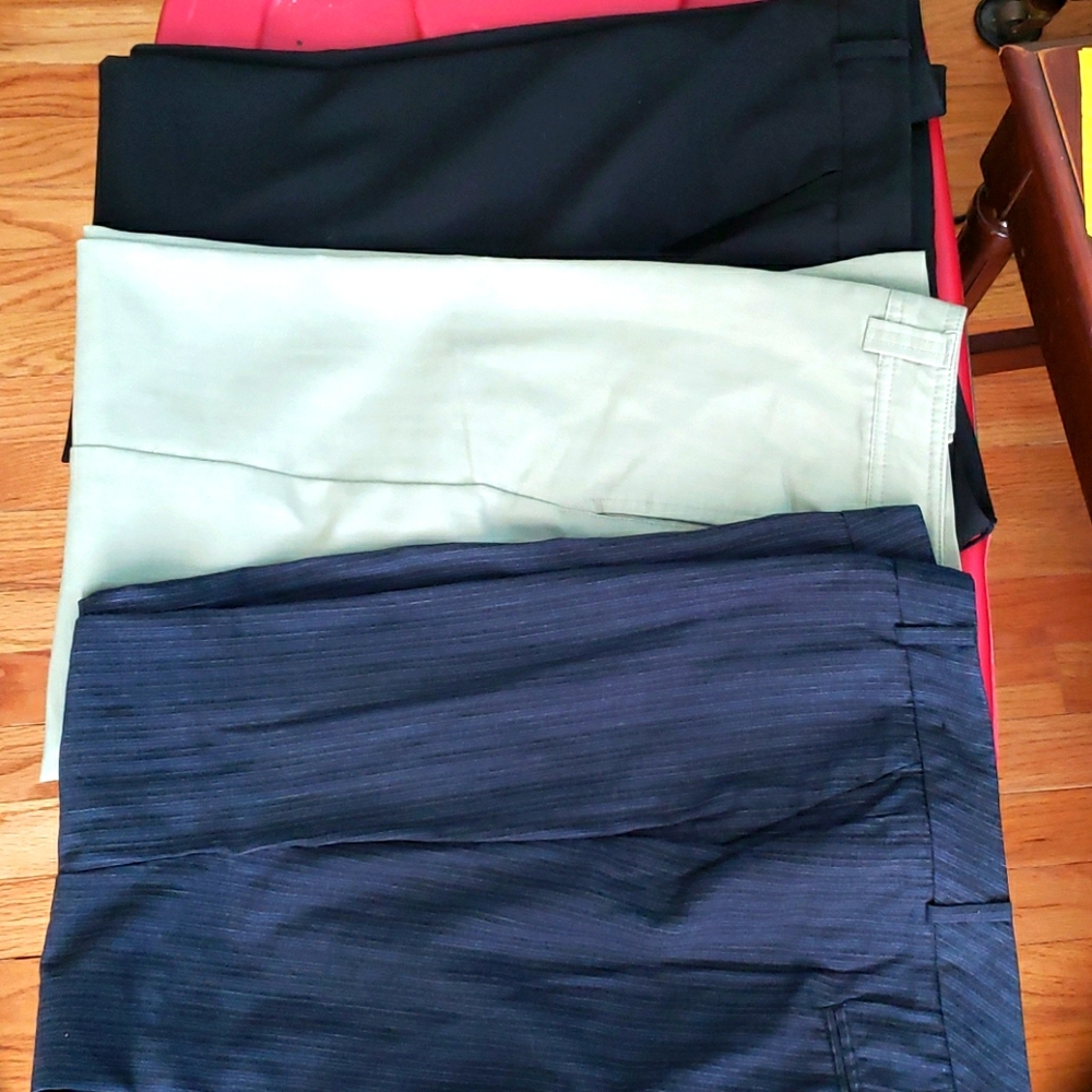 Women's dress pants